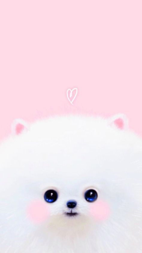 Downloaded from 10000+ Wallpapers. http://itunes.apple.com/app/id466993271. Thousands of HD wallpapers just for you! Pomeranian Wallpaper, Cute Dog Drawing, Cute Pomeranian, Fashion Drawing Sketches, Cute Panda Wallpaper, Pomeranian Dog, Dog Wallpaper, Bear Wallpaper