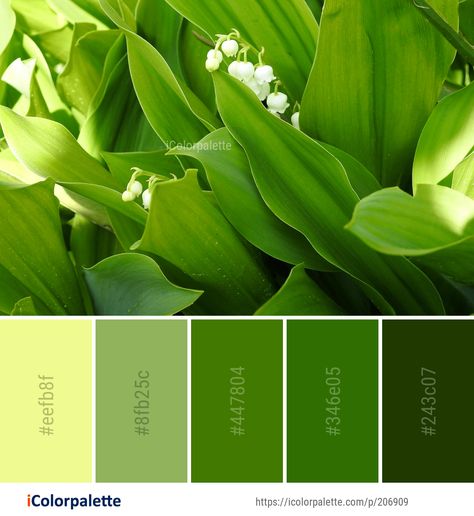 Color Palette ideas from 2965 Leaf Images | iColorpalette Grass Colour Palette, Leaf Colour Palette, Leaf Green Color Palette, Grass Green Color Palette, Grass Color Palette, Botanical Color Palette, Leaf Color Palette, Grass Images, Leaf Green Color