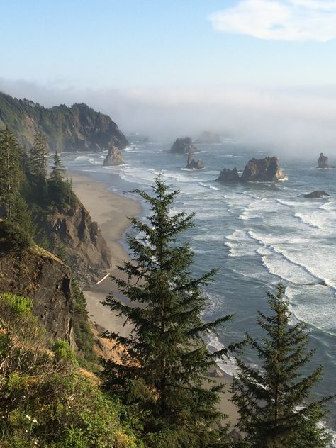 Lost Coast Trail, Photography Hobby, California Coastline, California Coast, Nature Aesthetic, Pretty Places, Akita, Nature Travel, The Coast