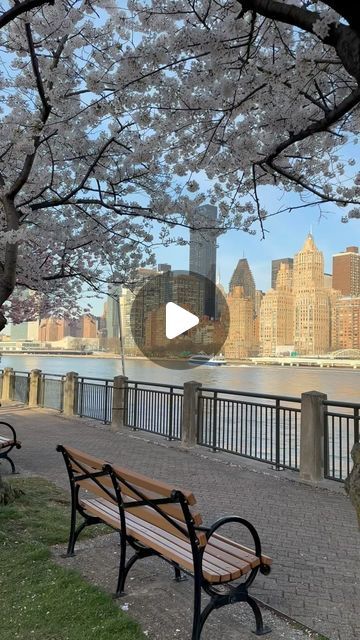 New York City on Instagram: "Beautiful day for a walk around Roosevelt Island 🌸🤩🌼
#NYC #🌸" Roosevelt Island Nyc, Roosevelt Island, I ❤ Ny, A Walk, Beautiful Day, York City, New York City, New York, On Instagram