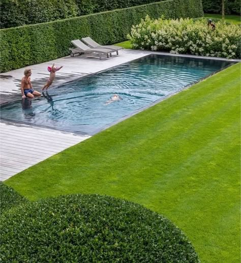 Modern Pool Landscaping Ideas, Garden Pool Design, Ideas De Piscina, Small Backyard Pool, Dream Backyard Pool, Pools Backyard Inground, Pool Landscape Design, Garden Swimming Pool, Backyard Pool Landscaping