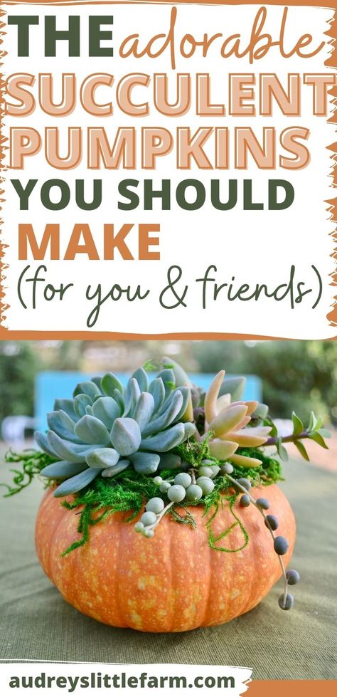 Pumpkin Succulent Centerpiece Diy, Pumpkin Succulent Centerpiece, Pumpkin Succulents, Pumpkin Flower Arrangements, Pumpkin Flower Arrangement, Pumpkin Plants, Pumpkin Planters, Pumpkin With Flowers, Pumpkin Centers