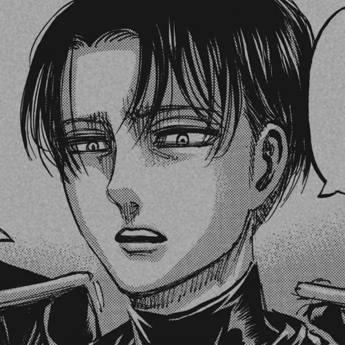 Aot Manga Pfp Levi