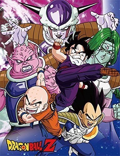 Dragon Ball Group Picture