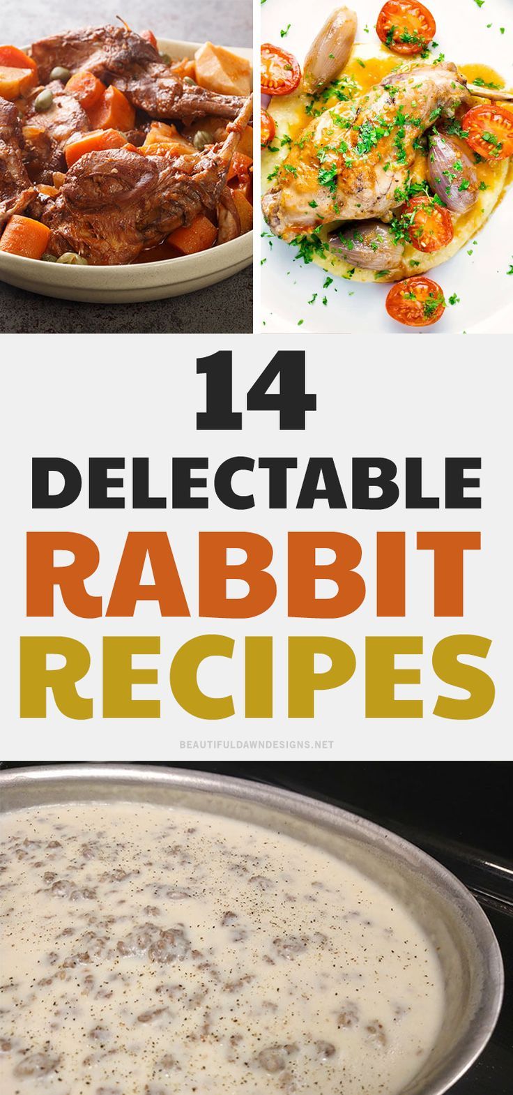 Looking for something different to make for dinner tonight? Check out these 14 rabbit recipes that will tantalize your taste buds. From simple dishes like roasted rabbit to more complex ones with unique flavors, there's sure to be a recipe here that you'll love. So get cooking! There is rabbit pot pie, rabbit stew, rabbit gravy, braised rabbit and more. Wild Game Recipes Rabbit, Rabbit Ragu Recipe, Rabbit Chili Recipe, Shredded Rabbit Recipes, Roast Rabbit Recipe, Rabbit Meals Dinners, Cooked Rabbit Recipes, Rabbit Curry Recipe, Baked Rabbit Recipes Easy