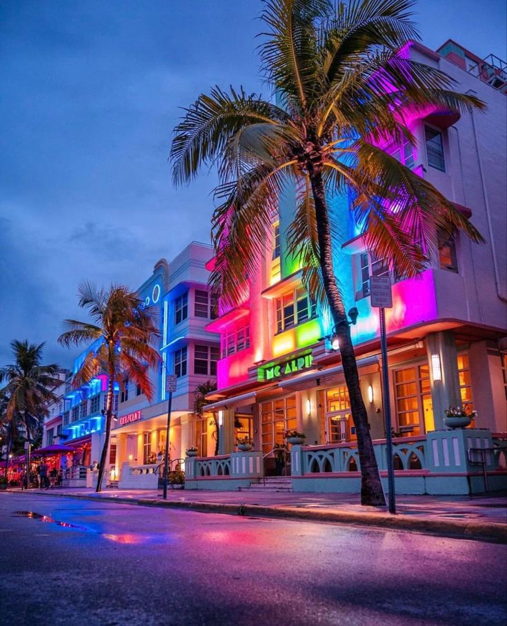 palm trees line the street in front of brightly lit buildings