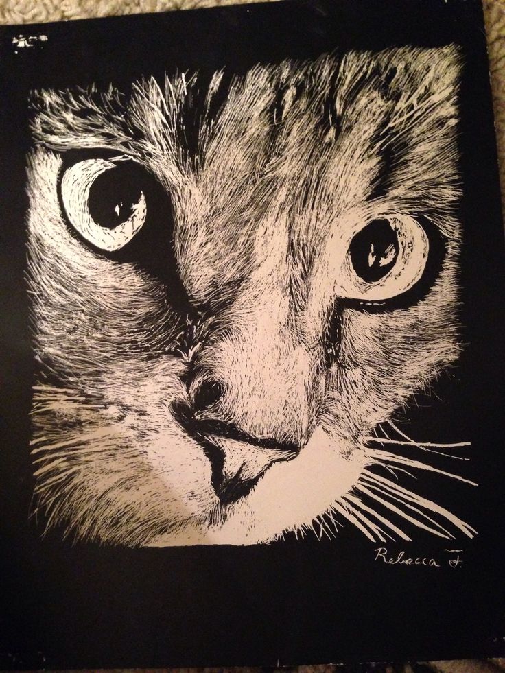 a black and white drawing of a cat's face on a piece of cloth