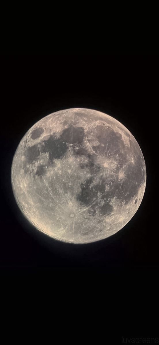 the full moon is seen in the dark sky