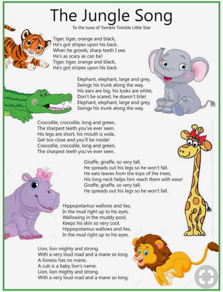 the jungle song with pictures of animals and other things to say in it's own language