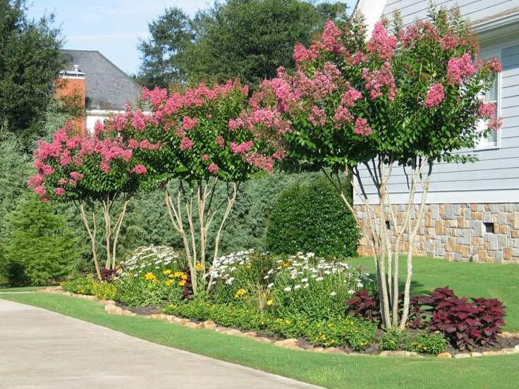 some pink flowers bushes and trees in front of a house