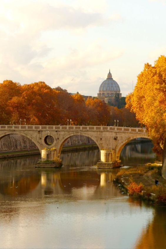 a bridge over a body of water with trees in the background