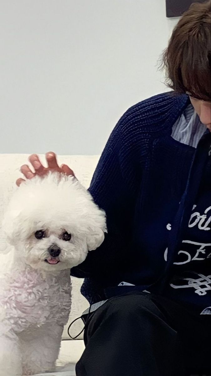 a woman sitting on a couch petting a small white dog