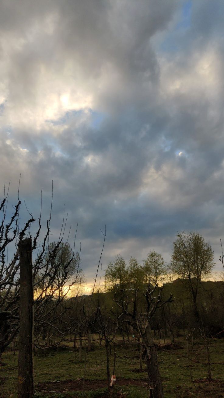 the sky is very cloudy and there are trees in the foreground with no leaves on them