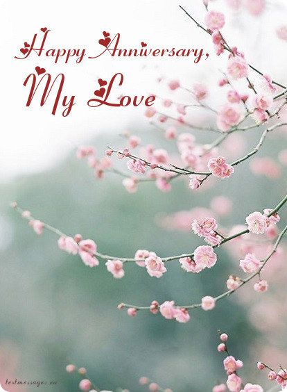 a happy anniversary card with pink flowers on the branch and text that reads, my love