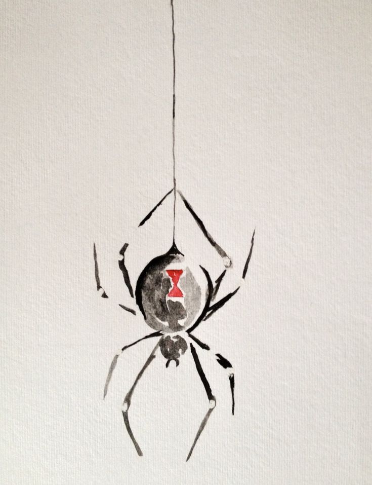 a drawing of a spider hanging from a string with a red dot on it's chest