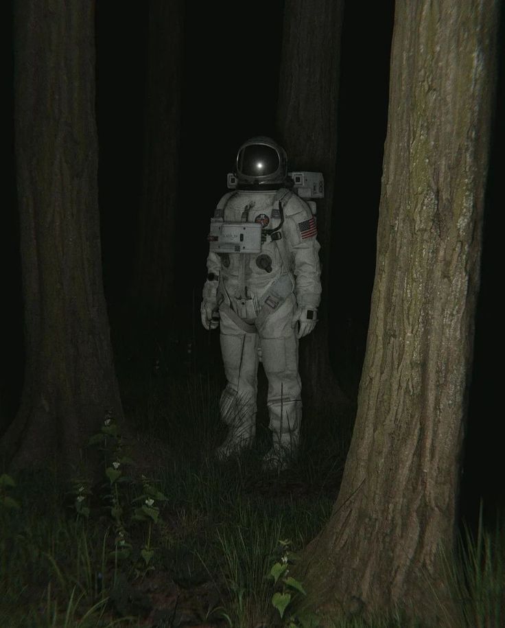 Astronaut in forest dark Astronaut Pfp Aesthetic, Reflective Surfaces Photography, Space Grunge Aesthetic, Lethal Company Aesthetic, Space Horror Aesthetic, Space Exploration Aesthetic, Space Astronaut Aesthetic, Astronaut Oc, Lethal Company Art