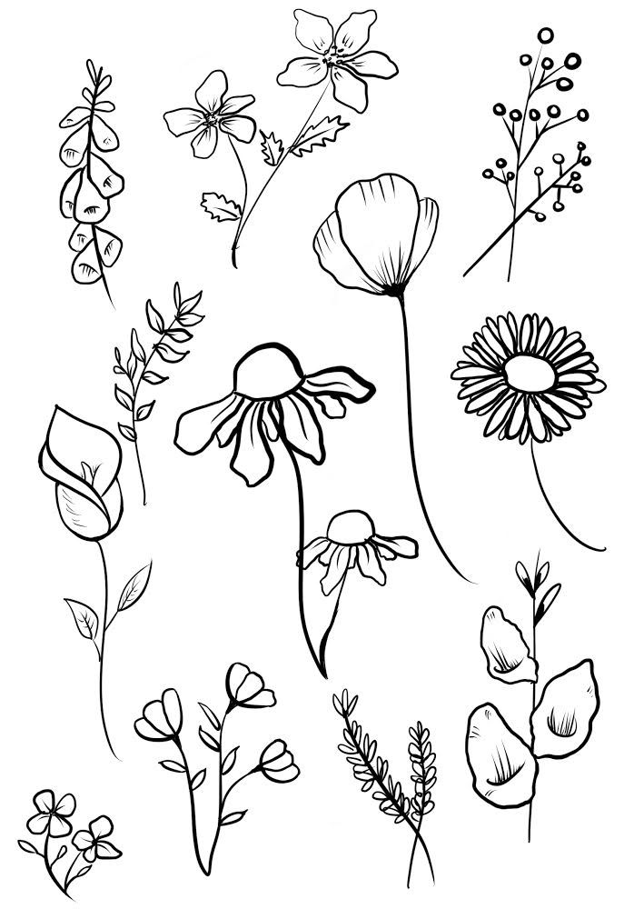 flowers are drawn in black and white on a white background