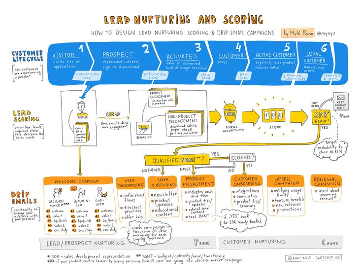 a diagram showing the steps to lead nurturing and scribing in an organization