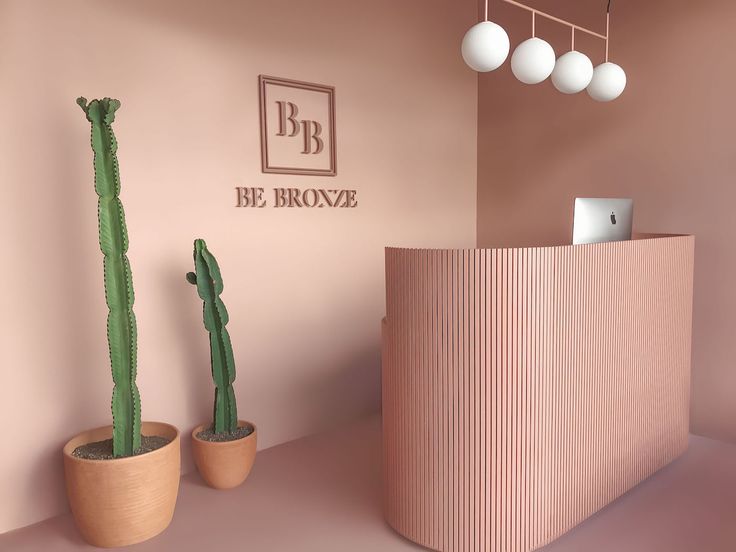 two cactus plants are sitting in front of the be bronxe logo on a pink wall