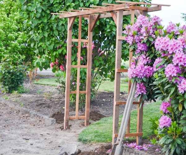 a wooden arbor with purple flowers in the background