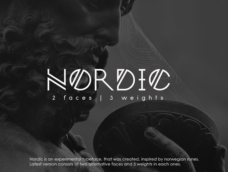 the word nordic is written in white and black with an image of a man holding a shield