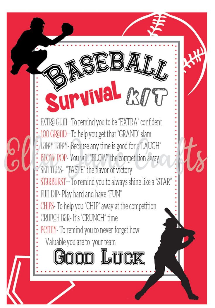 an image of a baseball survival poster