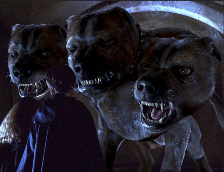 two scary looking dogs with their mouths open