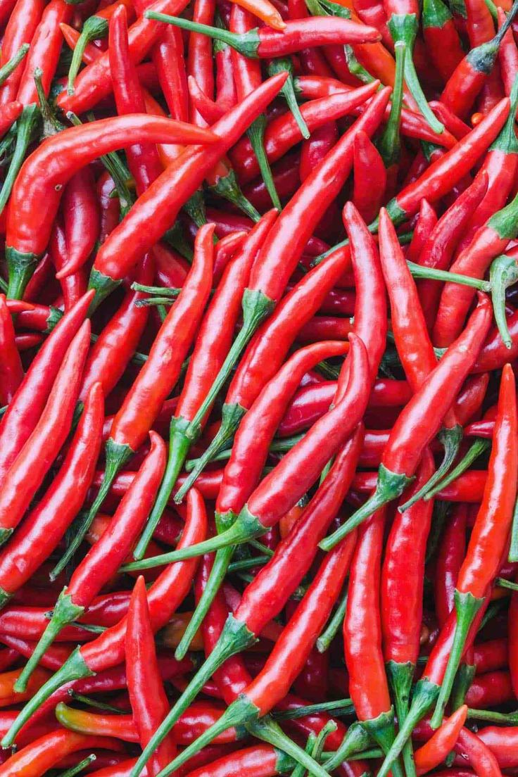 many red peppers are piled up together in this pile, with green stems sticking out from the top