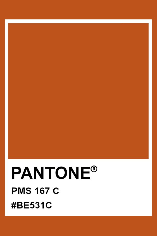 Pantone PMS 167 #pantone #color Pantone Orange, Pantone Matching System, Yellow Pantone, Pantone Color Chart, Pantone Swatches, Pantone Colours, Pantone Palette, Pantone Colour Palettes, Magenta Purple