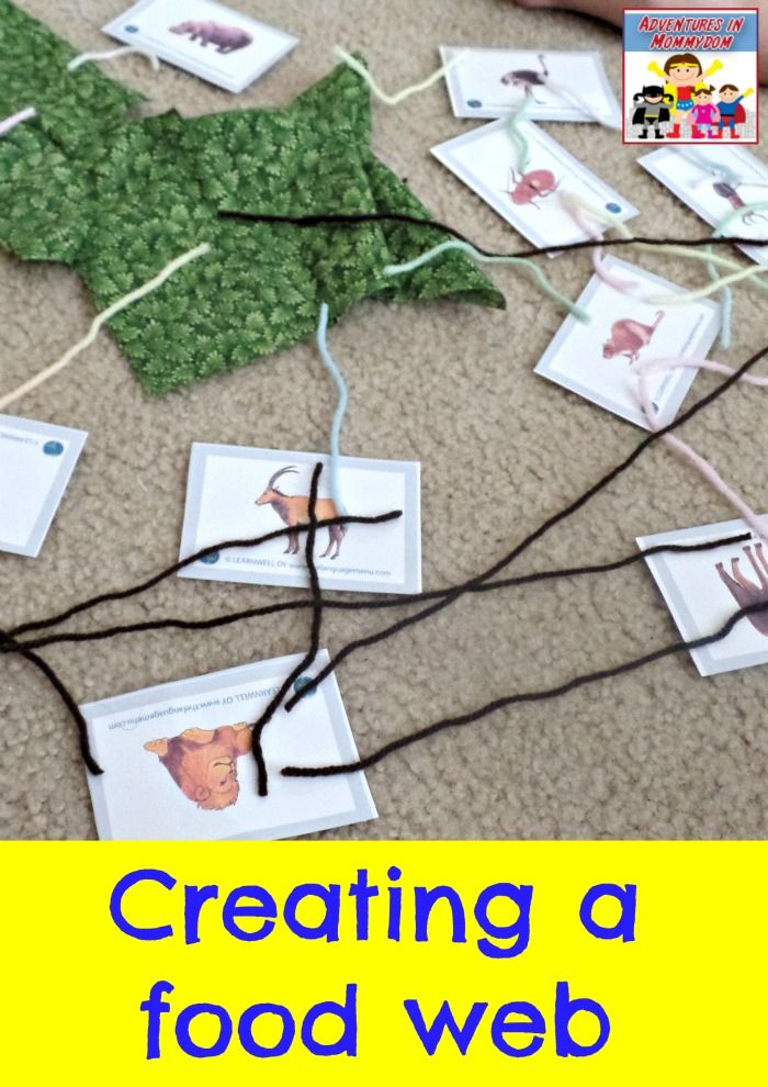 a child's hands are playing with food webs on the floor, and there is