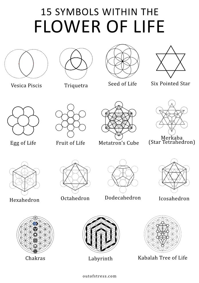 the symbols and their meanings for each type of flower of life, which are also in different