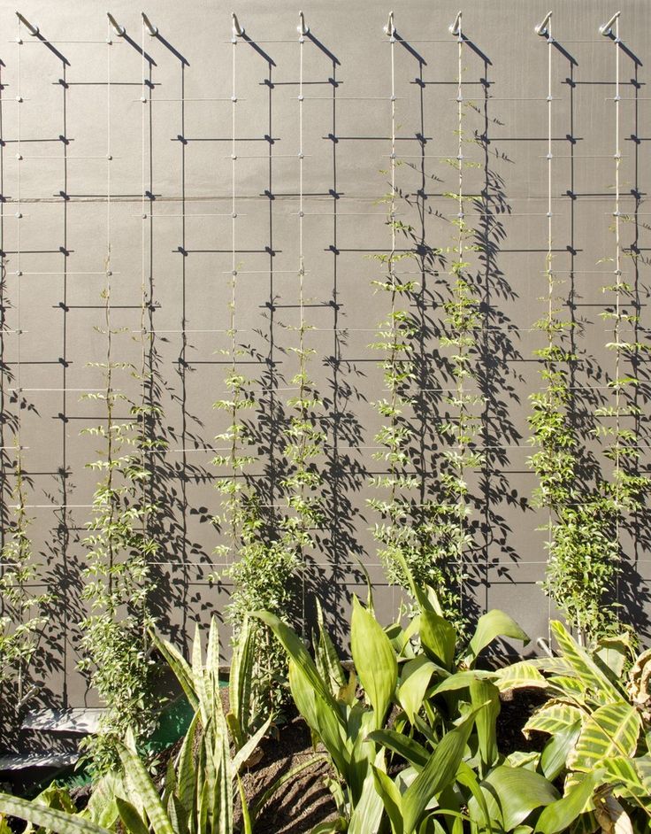 many plants growing on the side of a building next to a fence with barbed wire