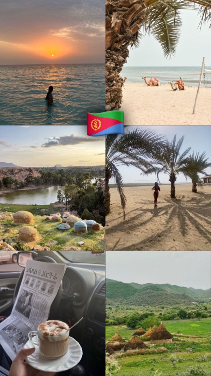 a collage of pictures with people on the beach and palm trees in the foreground