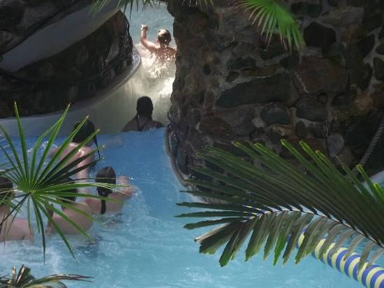 people are in the water slide at an indoor swimming pool that is surrounded by palm trees