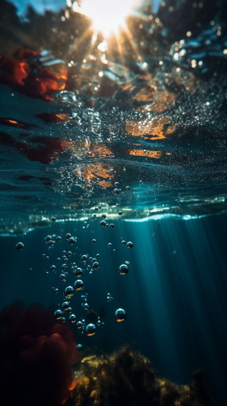 the sun shines brightly through the water's bubbles in this underwater photo taken on a sunny day