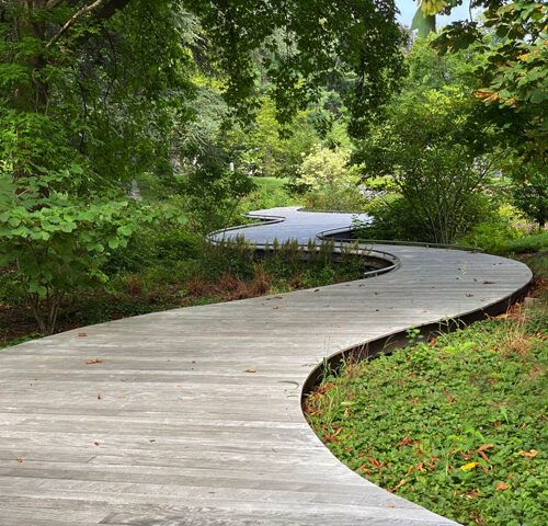 a wooden walkway in the middle of a park with trees and grass on both sides