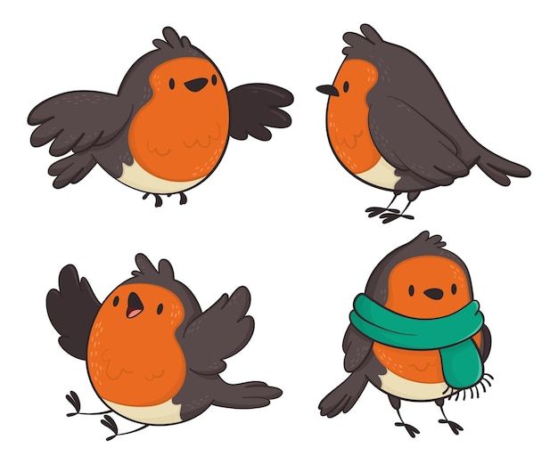 four birds with different colored feathers and scarves on their heads, one is orange the other is gray