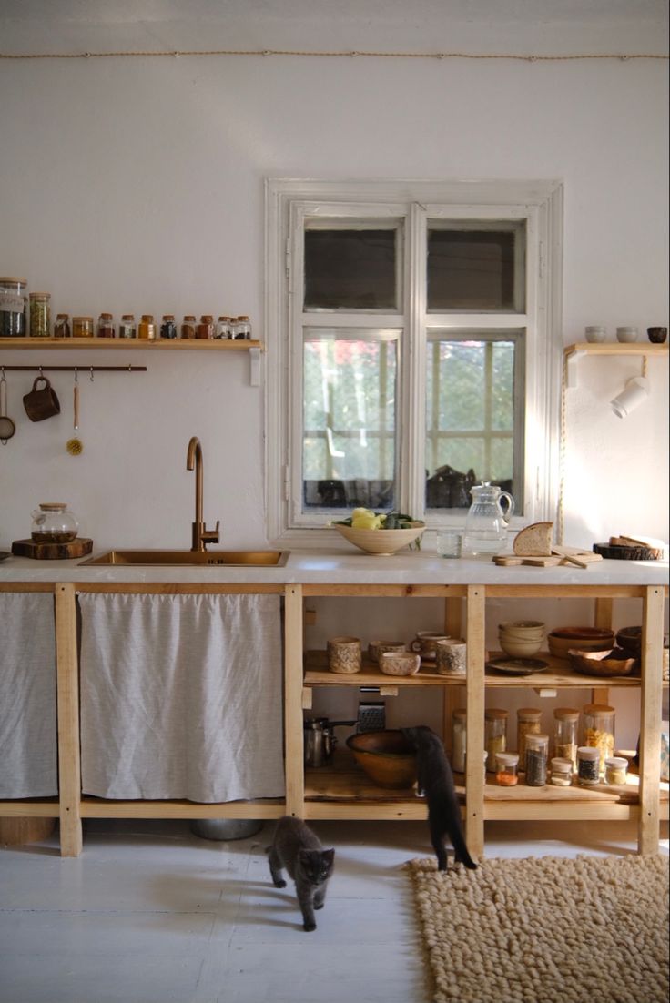 a cat walking across a kitchen floor next to a sink and counter with dishes on it