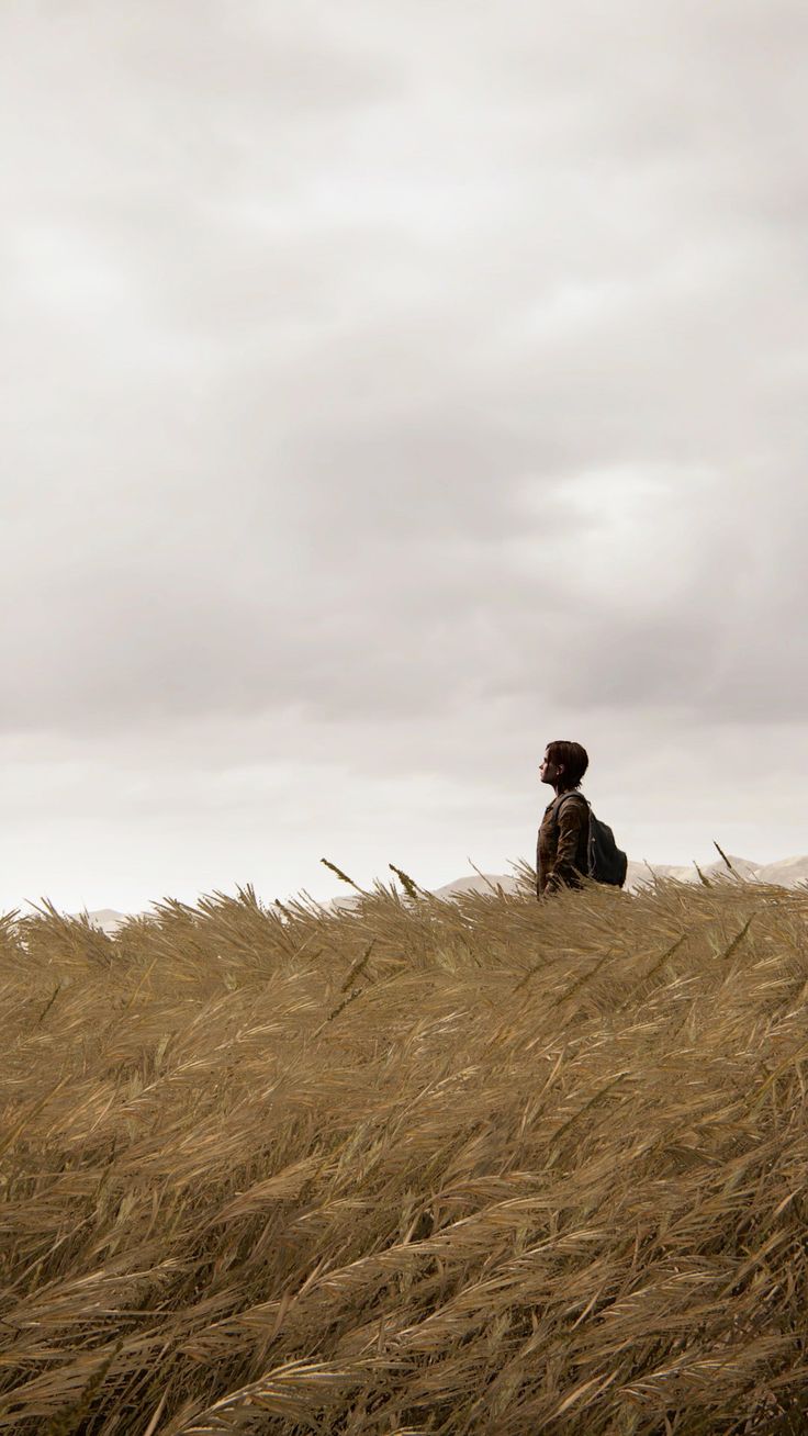 a person sitting on top of a tall grass covered hill