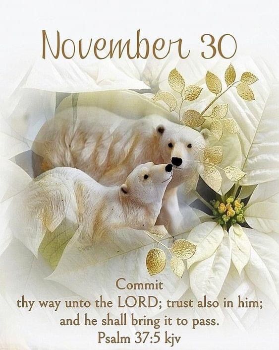 two white polar bears laying next to each other with the words november 30 on it