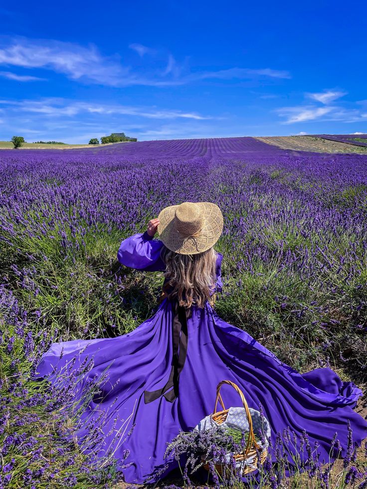 a woman in a purple dress and straw hat is sitting in a lavender field with her back to the camera