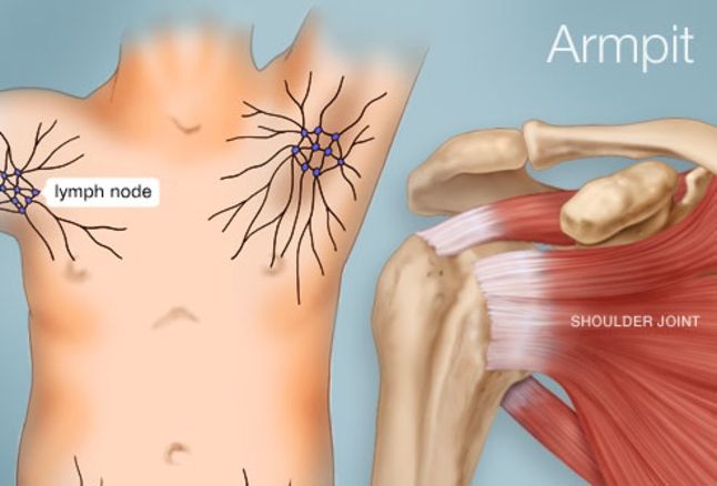 The Armpit (Human Anatomy): Picture, Function, Parts, Conditions, & More Arm Pit Lymph Nodes, Lump In Armpit, Armpit Lump, Human Anatomy Picture, Armpit Rash, Underarm Odor, Adolescent Health, Muscle Strain, Lymph Nodes