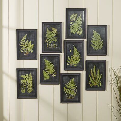 a bunch of framed pictures hanging on the wall with green plants in them and some grass