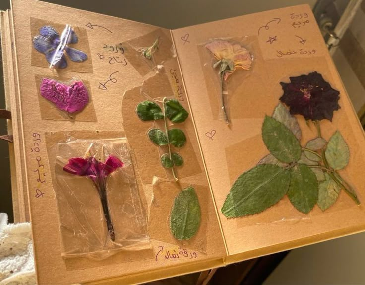 an open book with different types of flowers and leaves on the pages that are covered in plastic wrap