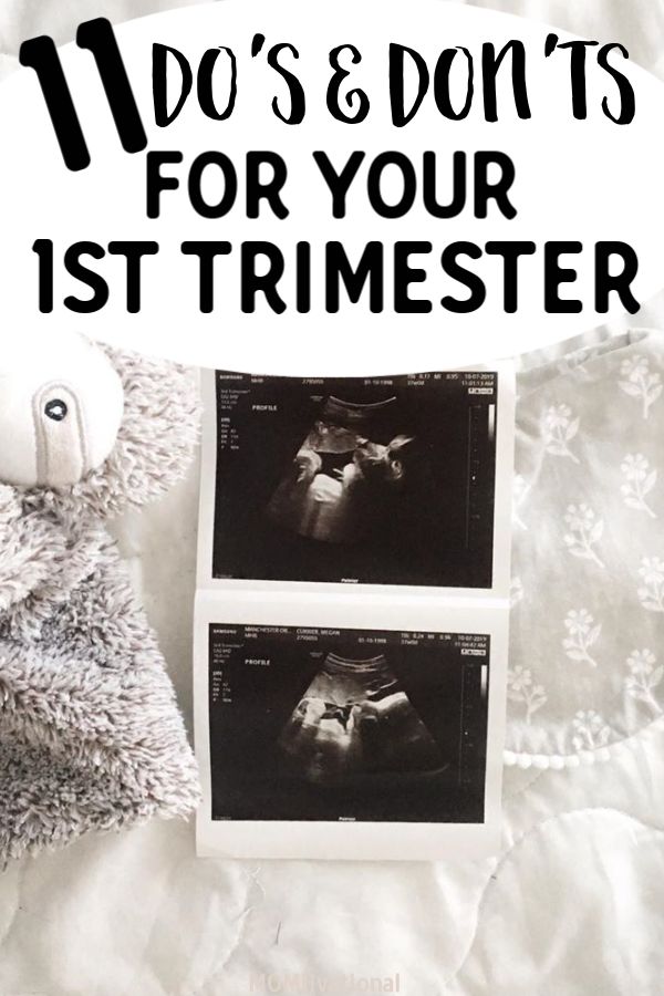 an image of a teddy bear with text overlay that reads, do's and don'ts for your 1st trimester