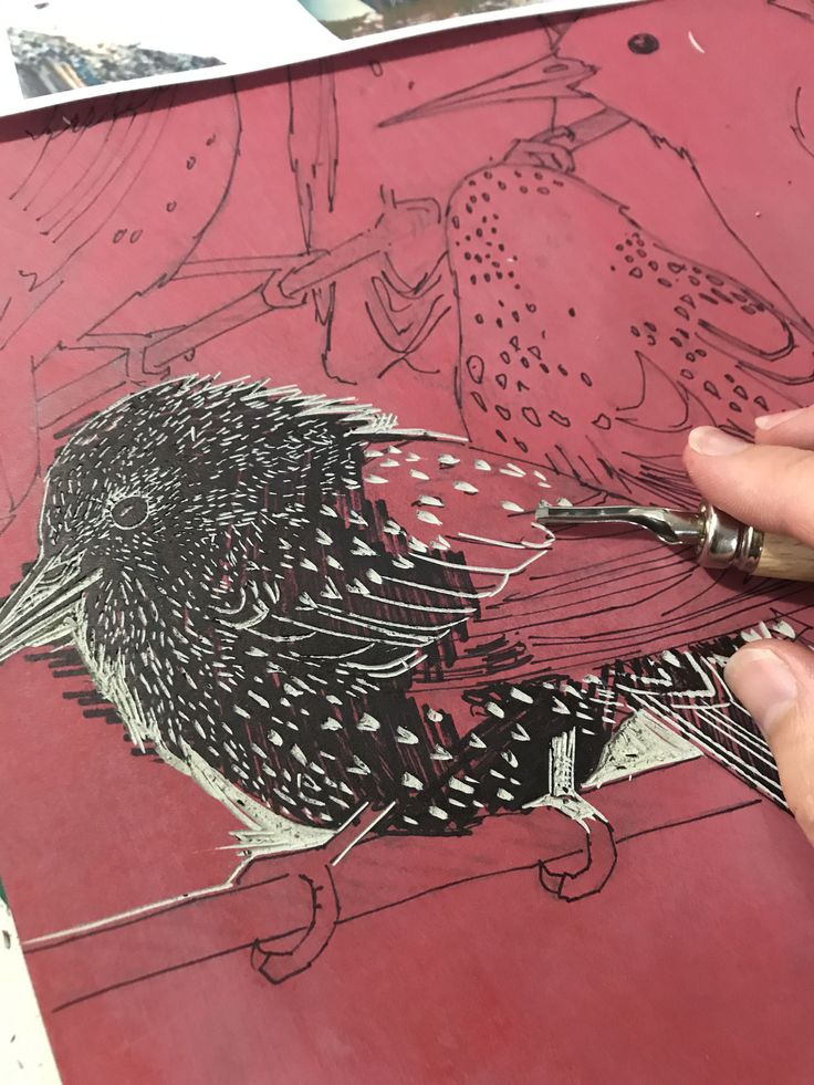 a person is drawing a bird on a piece of red paper with black and white ink