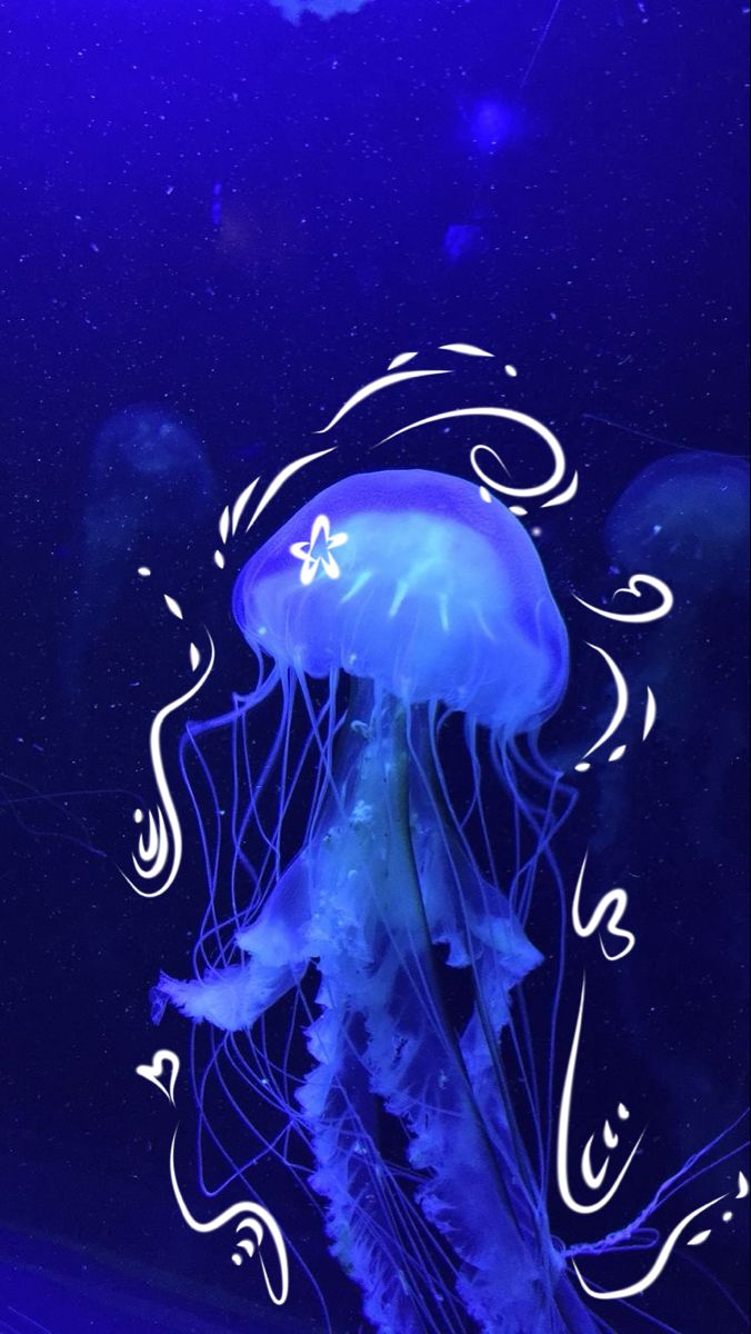 a blue jellyfish floating in the ocean at night with swirly designs on it's body