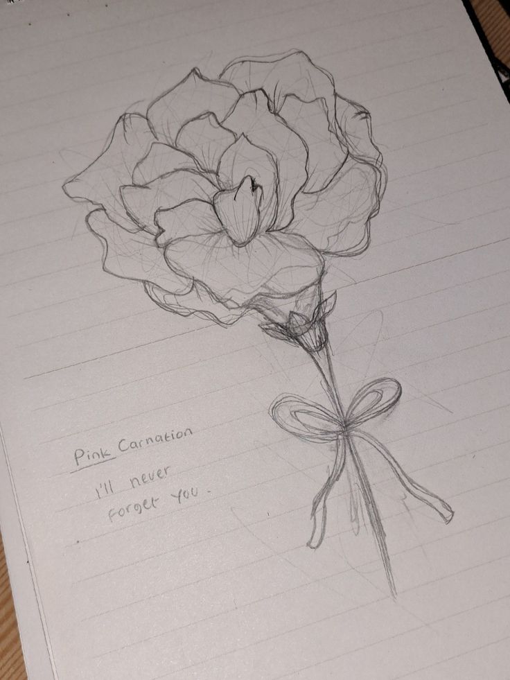 a pencil drawing of a flower on top of a piece of paper with writing underneath it