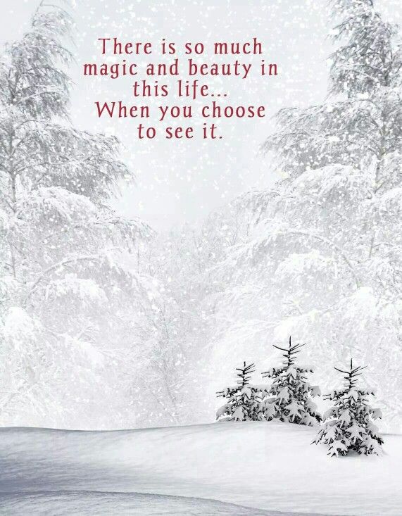 a snowy landscape with trees in the foreground and an inspirational quote about being happy