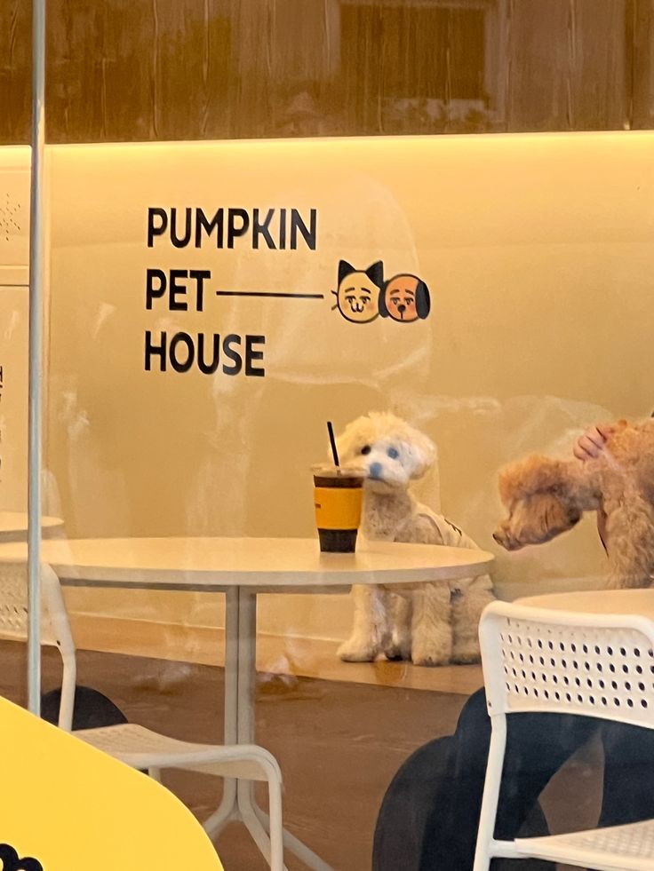 two dogs sitting at a table in front of a pumpkin pet house sign